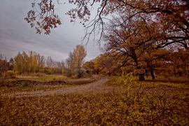 Осенний пейзаж