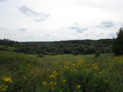 Прогулка в Царицыно