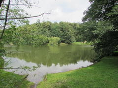 Царицыно, на берегу пруда