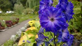 Ботанический сад