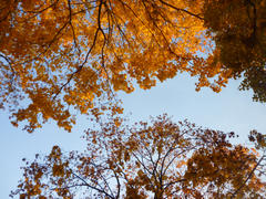 Осеннее небо