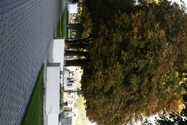 Улицы города ранней осенью 