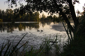 Подмосковный пейзаж