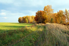 Осень в Подмосковье