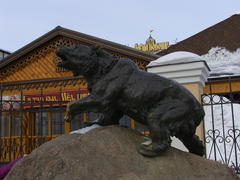 Медведь в Ярославле