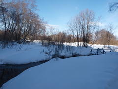 Мороз и солнце у источника