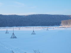 Морозное утро