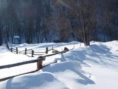 Морозное утро