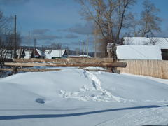 Сельский реалии