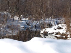 У источника