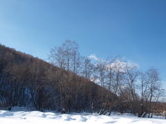 Зимий пейзаж