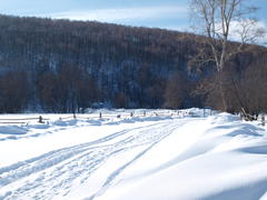 Зимний пейзаж