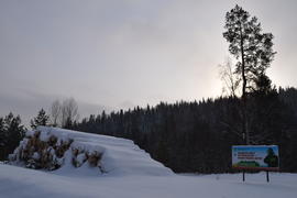 Бревна и стенд