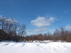 Зимний пейзаж