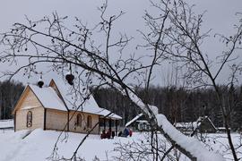 Храм и дерево