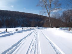 Морозное утро