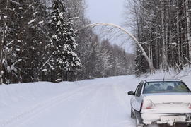 Лесная арка