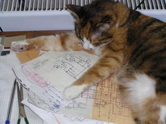 Кошка-радиолюбитель изучает выпрямитель