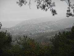 КУрортный туман