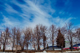 Голубое небо над деревьями 