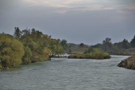 Река в Ставропольском крае