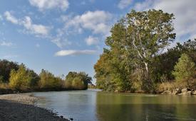 Река Барсучки. Ставропольский край