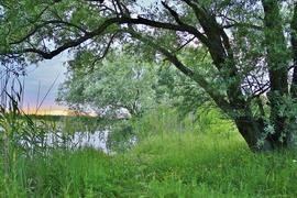 Где-то на Волге