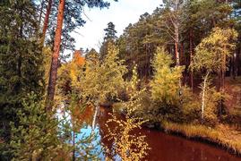 Золото осени