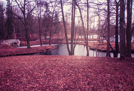 Пейзаж осеннего парка 