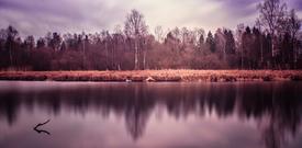 Пейзаж осени на озере 