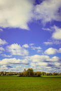 Пейзаж поле с ярко голубым небом 