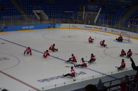 Разминка следжхоккеистов