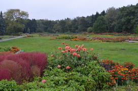 Декоративная поляна