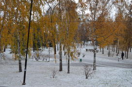 Выпал снег. Ни следов, ни грязи