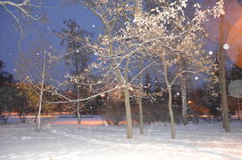 Казань. Заснеженный зимний парк 