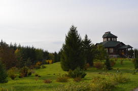 Ухоженный сад с зеленым лугом 