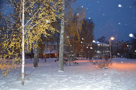 Казань. Заснеженный зимний парк 