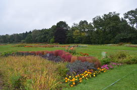 Цветной фрагмент