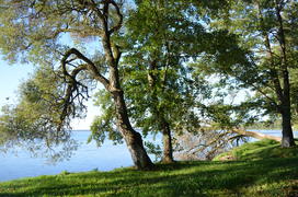 Побережье озера Нарочь в Белорусии 