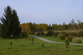 Ухоженный сад с зеленым лугом 