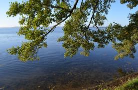 Побережье озера Нарич в Белорусии 