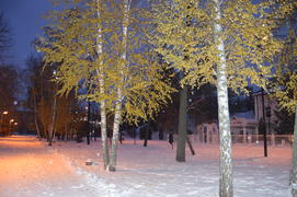 Казань. Заснеженный зимний парк 