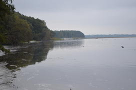 Утренняя дымка