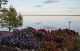 Набережная с клумбами и зелеными деревьями 