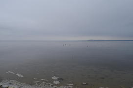 Пасмурное утро