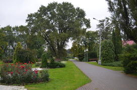 Зеленая аллея