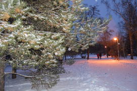 Казань. Заснеженный зимний парк 