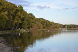 Озеро в окружении зеленых деревьев 