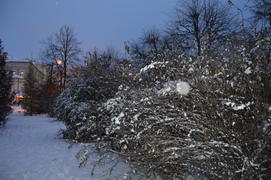 Казань. Заснеженный зимний парк 