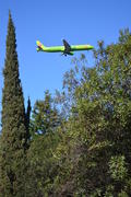 Самолет в небе между деревьями